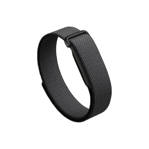 Google Fitbit Obsidian