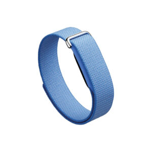 Google Fitbit Lavender